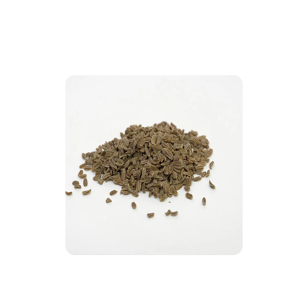 Organic Carrot Seed Oil with Antifungal and Antibacterial properties might help with skin infections from Indian Supplier