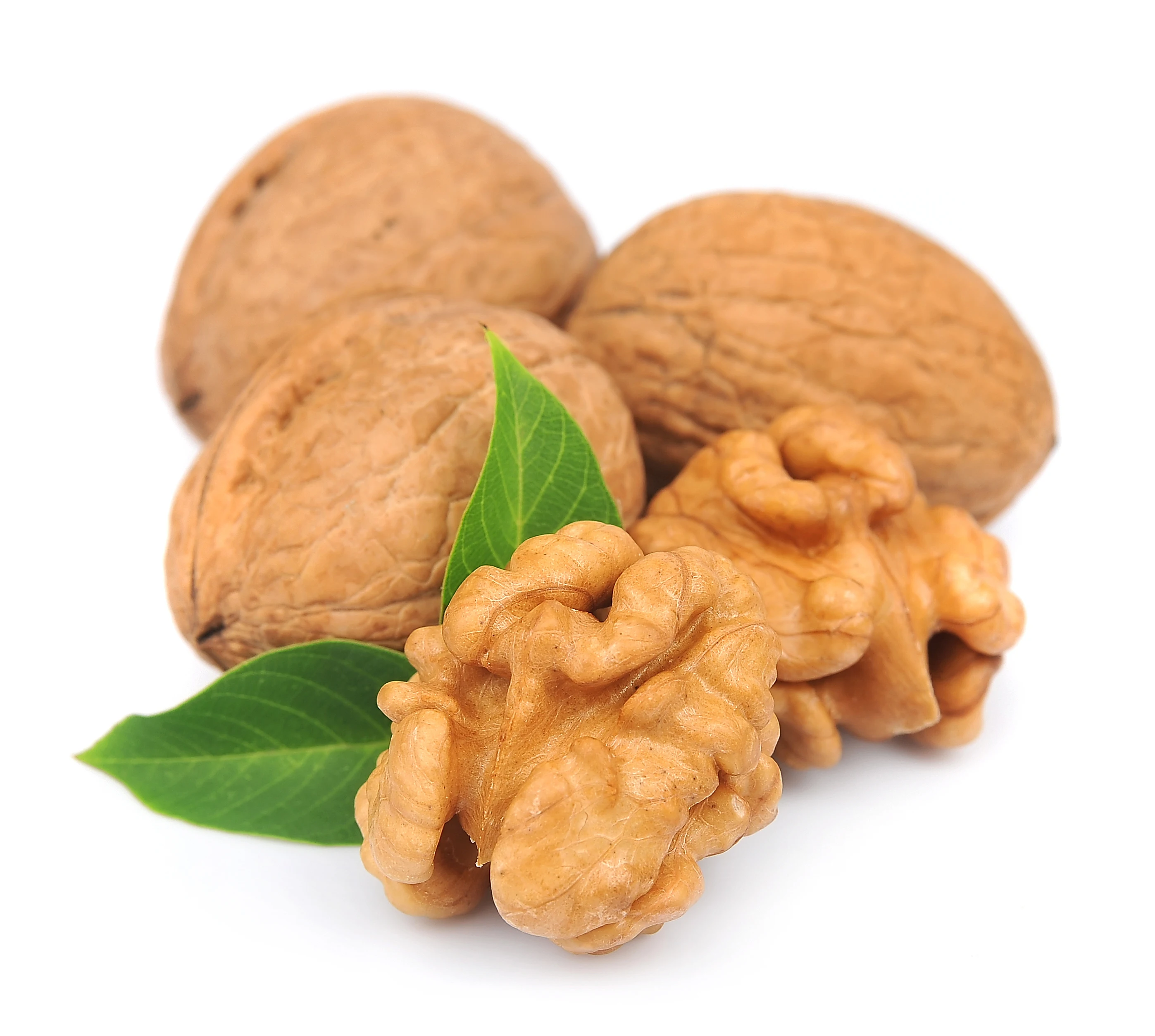 Cheap Dried Organic raw Walnuts available now