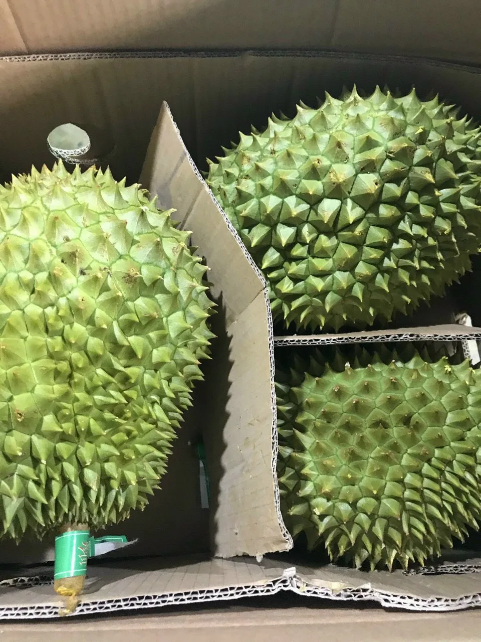 Fresh King Durian Vietnam лидер продаж богатые питательные средства высокое качество оптовая цена бесплатный налог в Корею США ЕС Японию Канаду Австралию