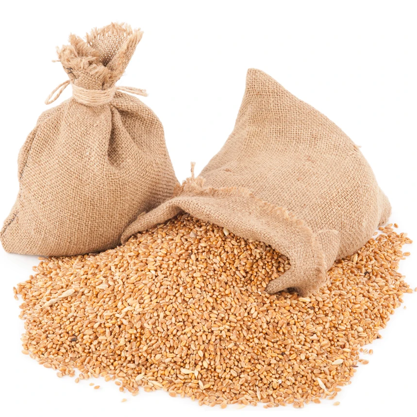 High Protein Premium Grade Soft Milling Wheat Grain