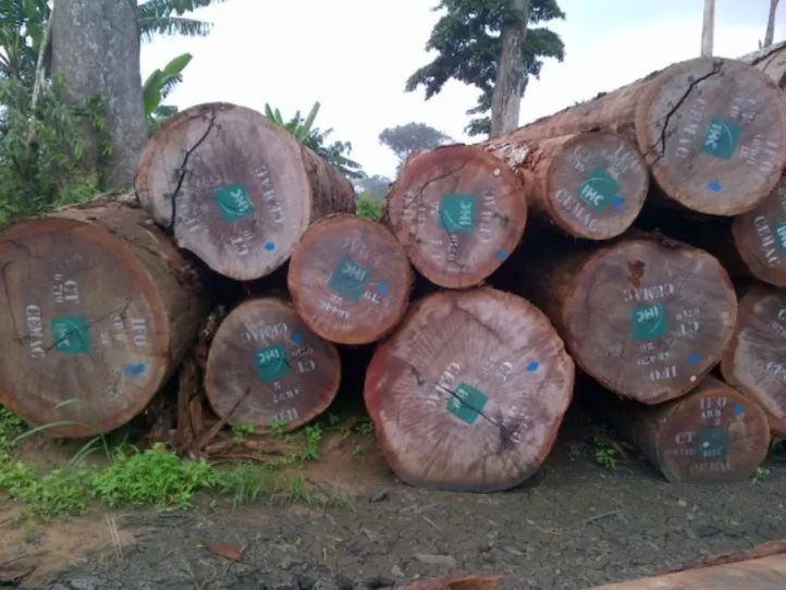 OKAN африканские круглые бревна TALI SAPELLE SAPELLI