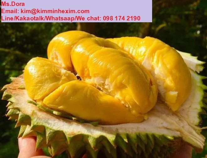 Top Selling 2022 HIGH QUALITY FRESH DURIAN FRUIT WITH COMPETITIVE PRICE FROM VIETNAM