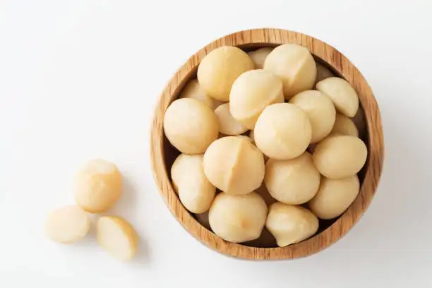 Macadamia 5.jpg