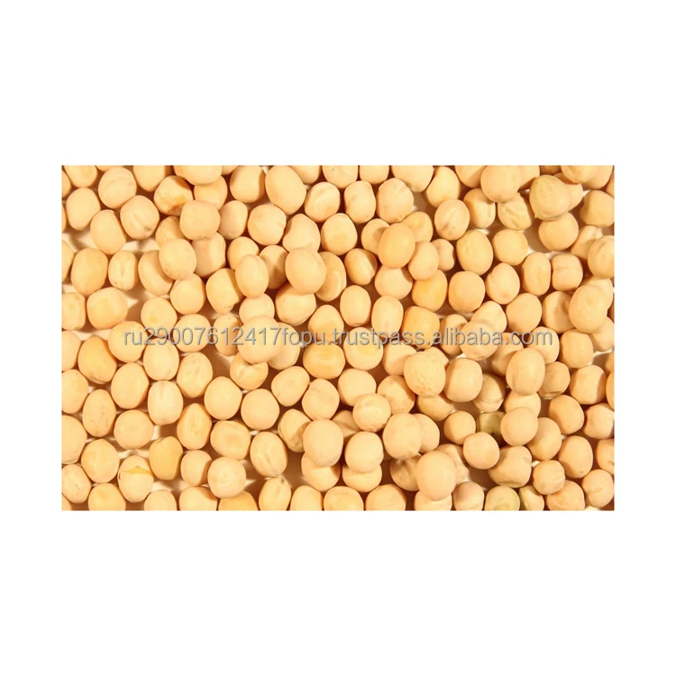 Лучший корм для животных горох, много белка и аминокислот, улучшение составления молока, весь желтый горох