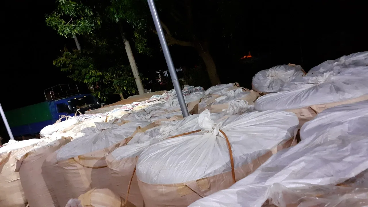 HIGH PROTEIN CORN SILAGE FOR ANIMAL FEED KOTINOCHI BRAND