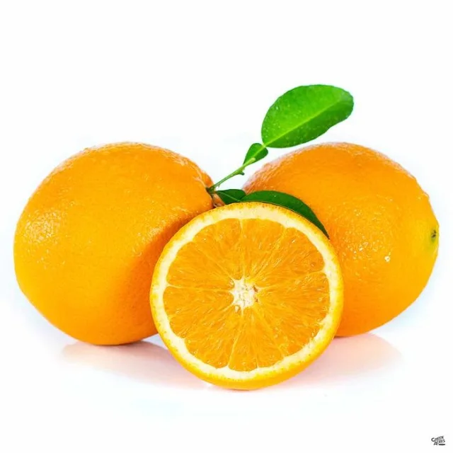 CARTON PACKING OF FRESH CITRUS ORANGE EXPORTING TO MANY COUNTRIES FROM EGYPT