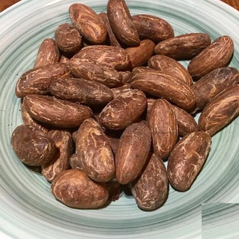 Best Quality West Canada Garcinia Bitter Kola