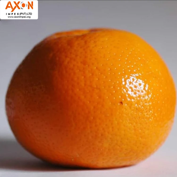 
Best Quality Fresh Mandarin Orange Made In Pakistan with Low Price Clementine, Persmandarijn, Juicy mandarins MANDARIN FROM PAK 
