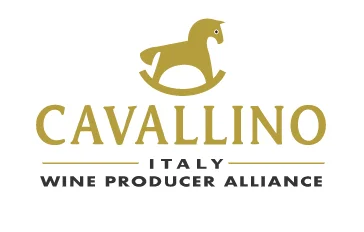 Высококачественное итальянское красное вино Тоскана vino красный Chianti DOCG для ужина и апертива в бутылке 0,75 л