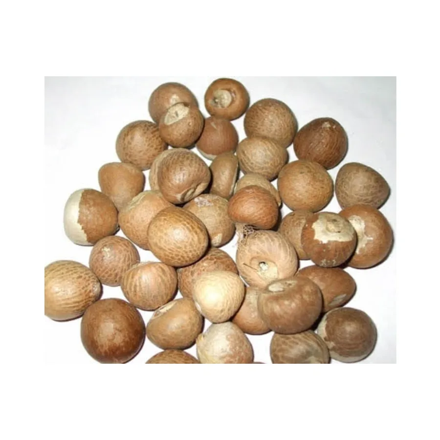  Лучшая цена Betel Nut из Вьетнама с высоким качеством (Ms. Lee: +