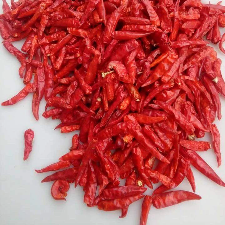 Wholesale 65g Hot Dry Red Chili Flakes Dry Red Chilies Materials Spice Seasoning