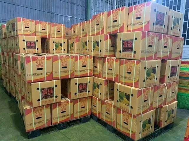 Fresh Durian Fruit /Fresh Durian Monthong/Fresh Durians