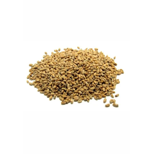 wheat malt