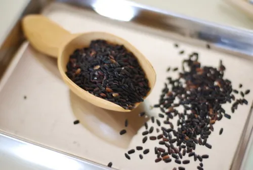  Черный рис с длинным зерном GAO NEP THAN - jasmine Black Rice-Oryza посева (Ms Деми + 84 961 733 400)