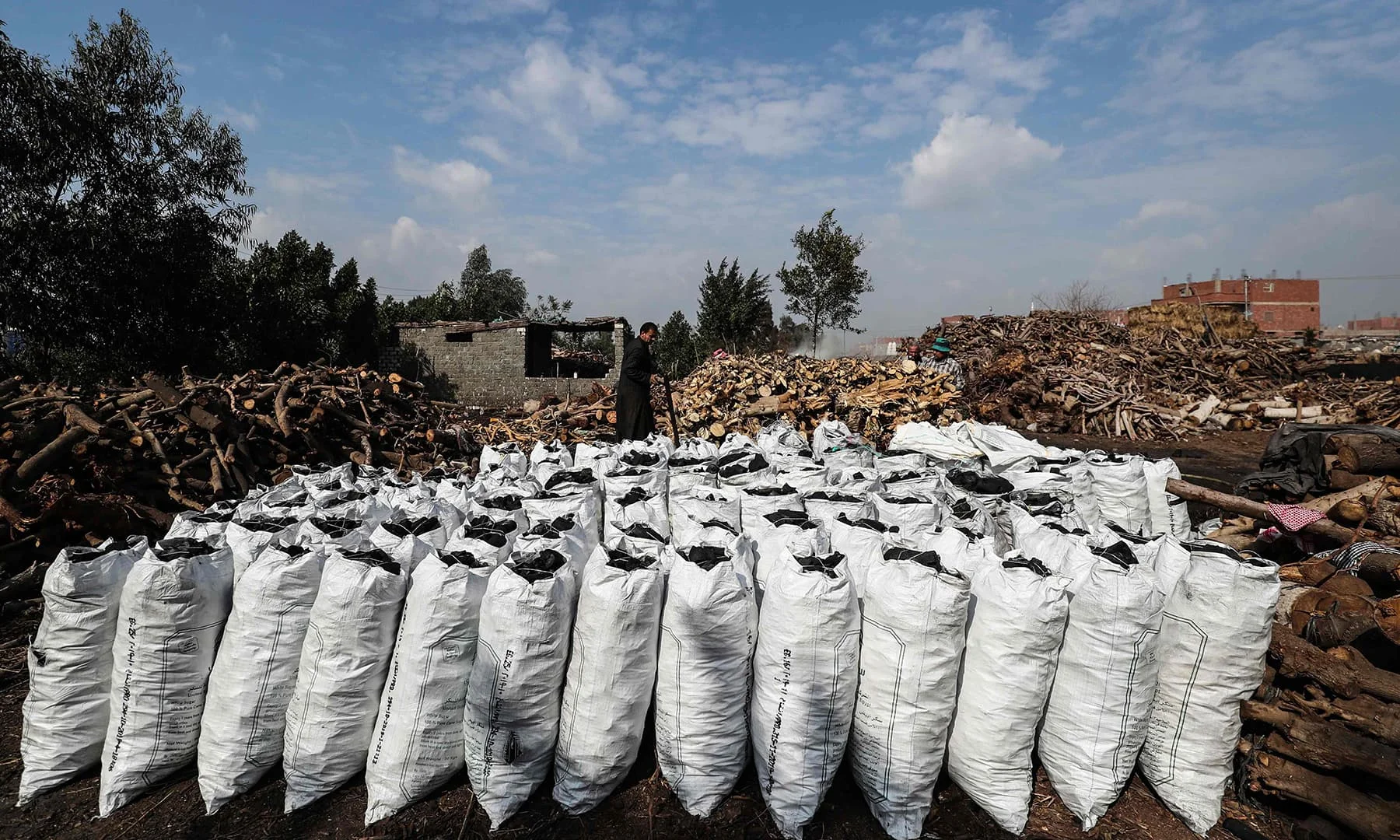 Одобренный высококачественный уголь для барбекю
