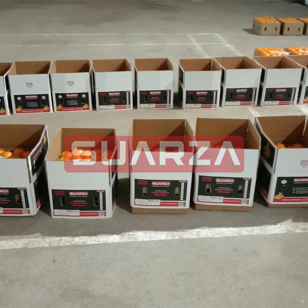 Certified Fresh Orange exporter In Pakistan