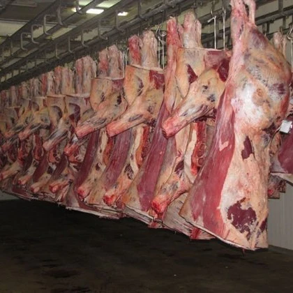FRESH FROZEN GOAT / LAMB SHEEP MEAT CARCASS
