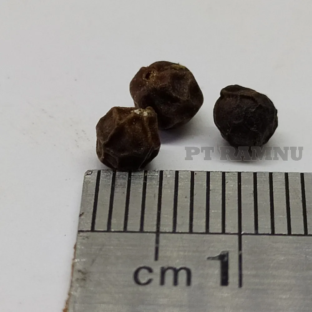 Black Pepper Powder High Quality Indonesia