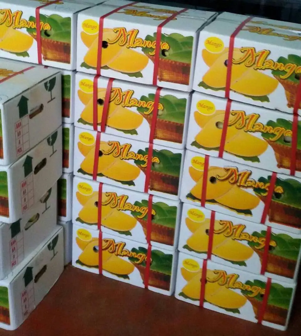 mango nam dokmai fresh Grade AA quality from thailand
