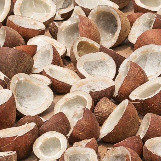 High Quality Dry Copra 100% Pure Coconut