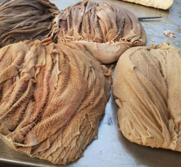 Halal Frozen Buffalo Beef Meat / Dried Frozen Beef Omasum