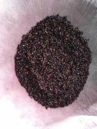  Зернистость черного чистого Премиум риса-gao nep cam - GAO NEP THAN-Жасмин черный рис (мс Деми + 84 961 733 400)