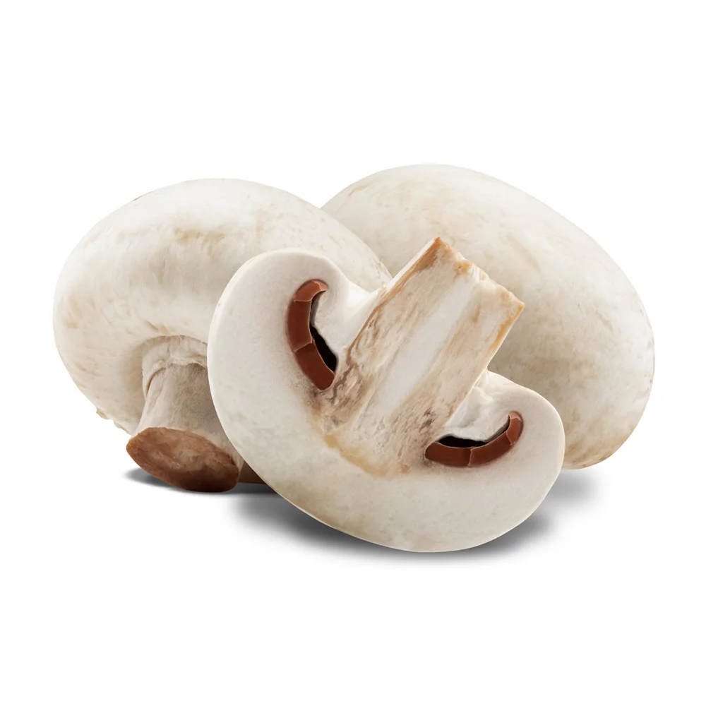 Italian top quality grilled champignons 185g pickle jar condiment in sunflower oil appetizer platters for export