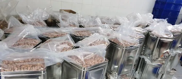 
Wholesale high quality raw cashew nuts Viet Nam manufacturing hot selling 