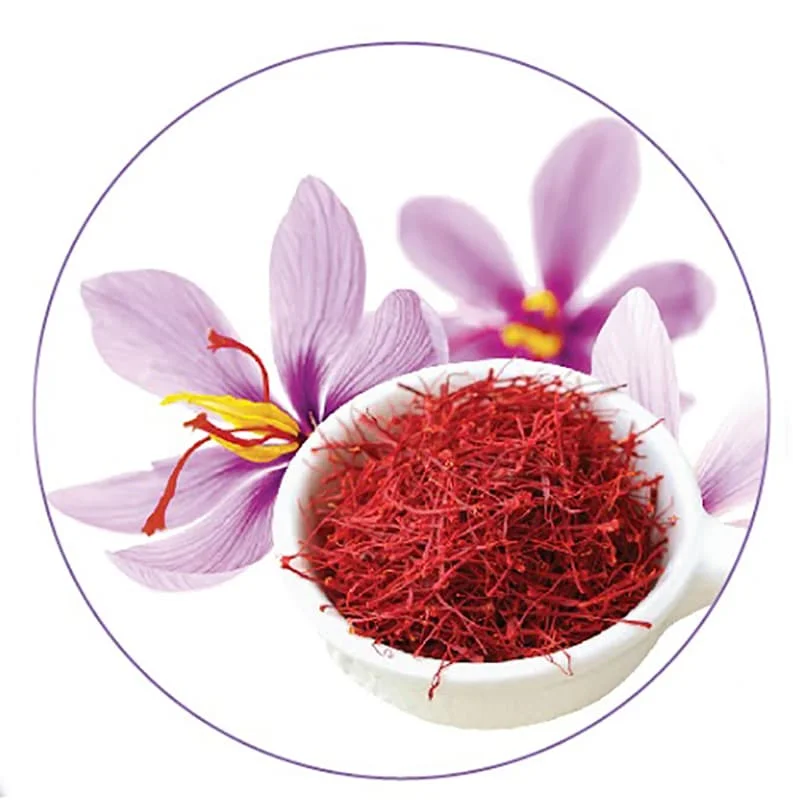 Natural And Dried Pure Mongra Saffron Kashmiri Mongra Saffron Buyer At Best Saffron Price