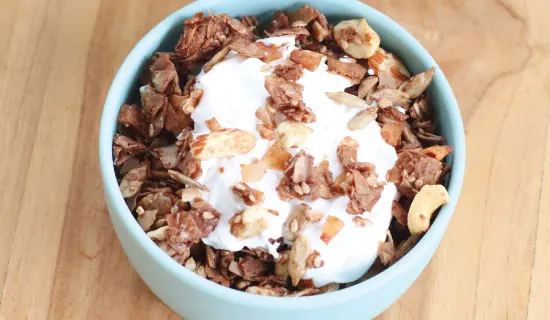 Healthy Daily Snacks Gluten Free Low Fat Granola Creations Coconut Cluster - Chocolate Mix 100g Packaging suitable for Vegan