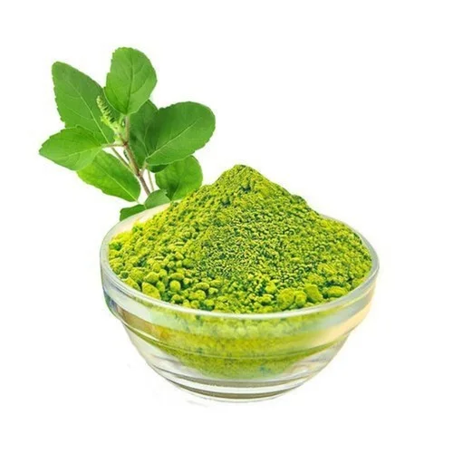 Water soluble Holy Basil Tulsi Ocimum tenuiflorum  tulasi Ocimum Sanctum Extract manufacturing herbal extract from india