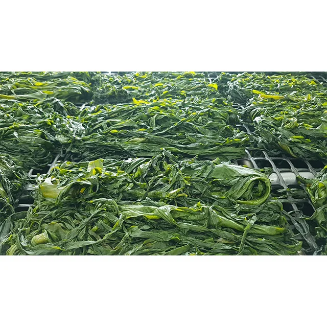 Upgrade Expert Fresh seaweed picked early in the morning created by nature Grown in deep waters Gijang seaweed product Chewy
