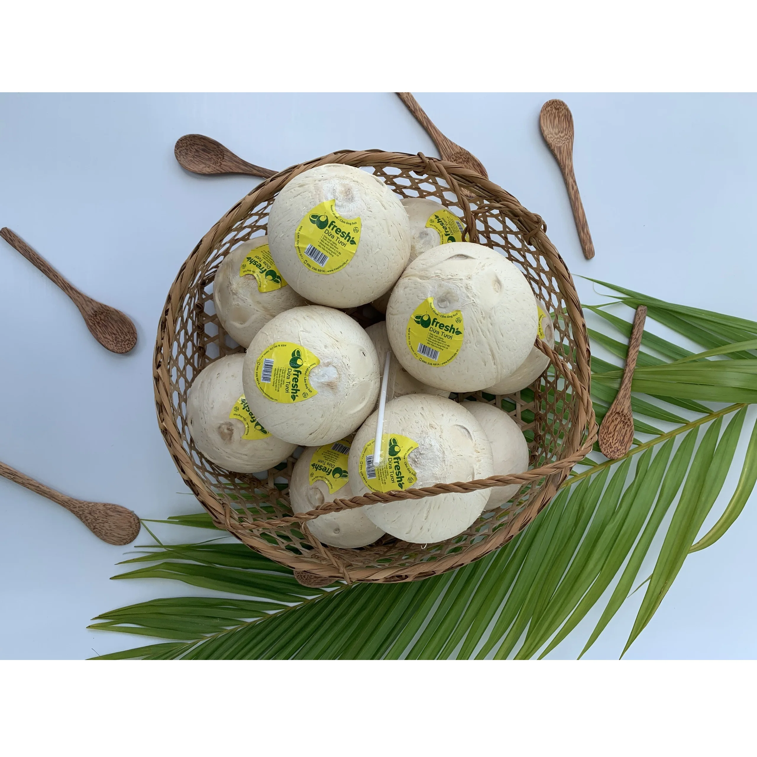 100% fresh coconuts Mekong Delta  Four Weeks Shell Life  Young Coconut Fresh Convenient Coconut from Vietnam