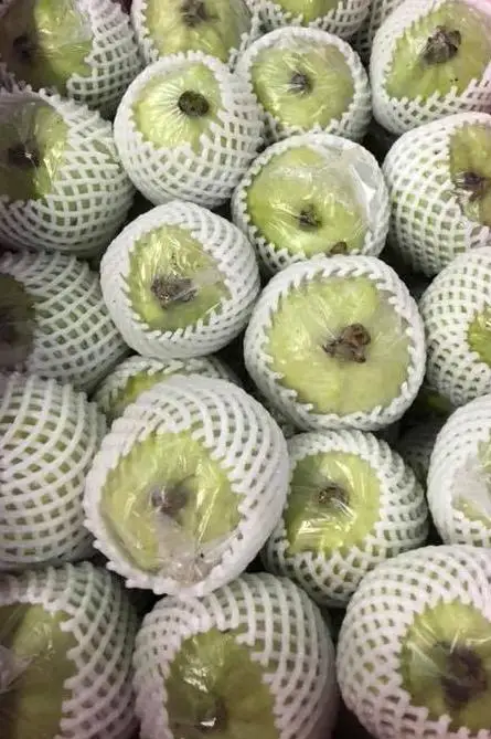 
EWC Hot Selling From Thailand Tropical Fruit Whire Ful Crips Fresh Guava 