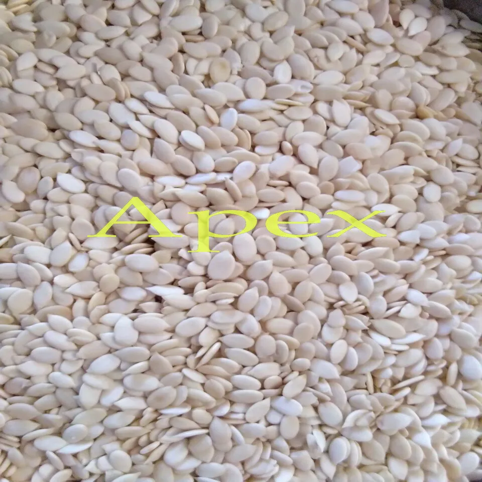 Watermelon Seeds and Kernel Maghaz kernel