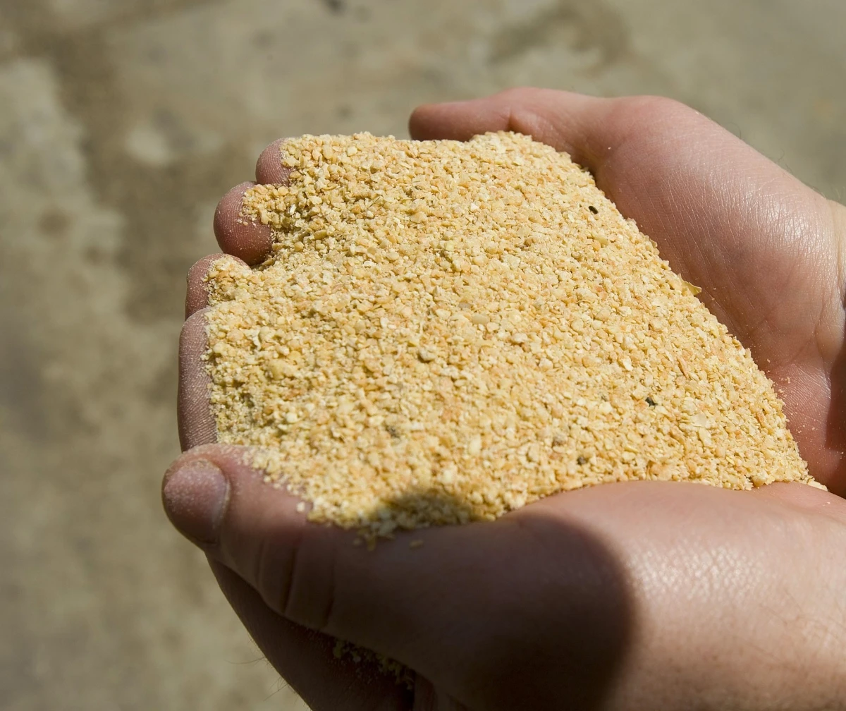 Top Grade Soybean Meal Wholesale Price Soybean Meal