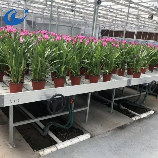 orchid plant nursery mesh greenhouse moving tables for growing
