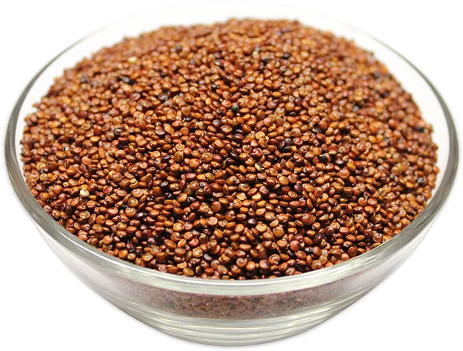 Top grade wholesale red sorghum grains sorghum good price