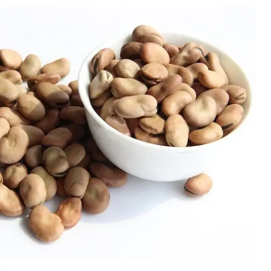Premium Quality Dried Broad Beans / Dried Fava Beans
