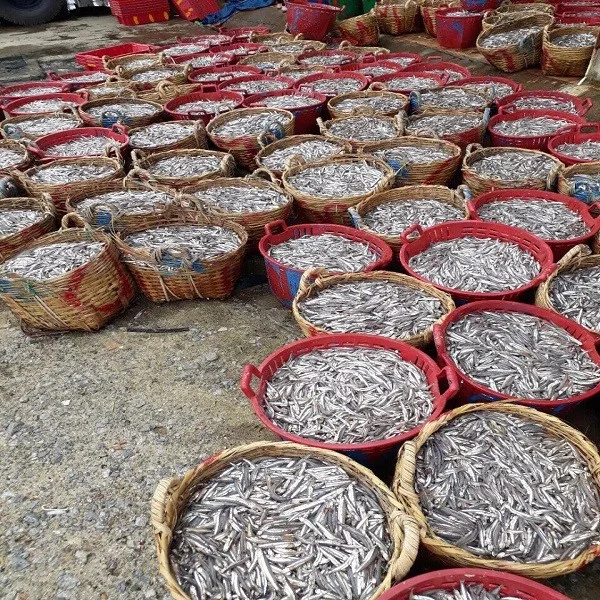 Вьетнамская сушеная Анчоуса, Натуральные Сушеные на Солнце рыбы