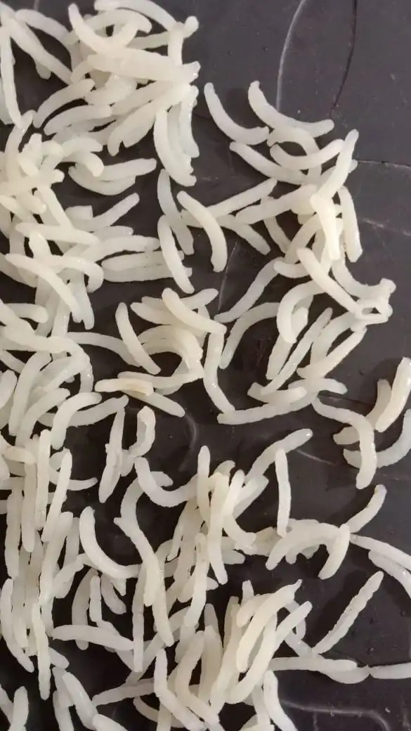 for sell 1121 Basmati Rice from Pakistan Sella 1509