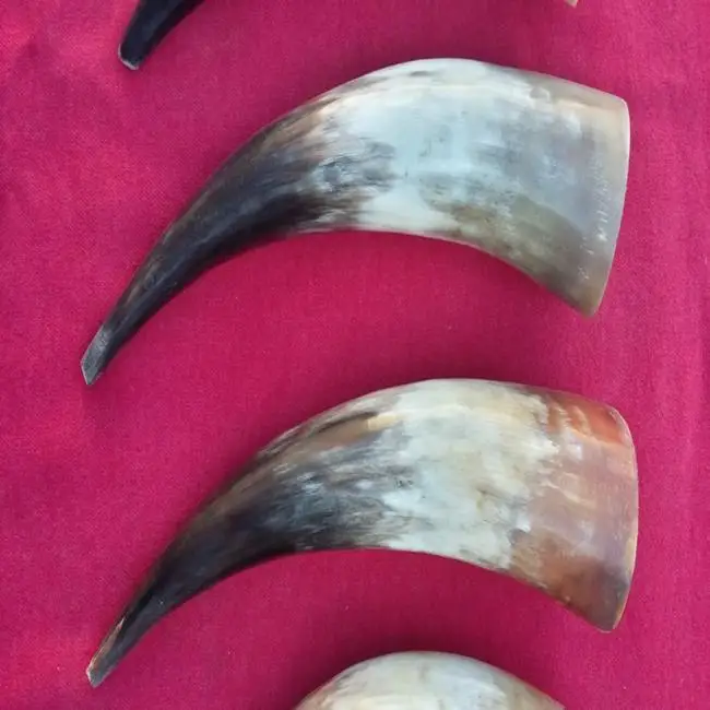 Ale horn Viking culture  medieval drinking horn , groomsmen gift and wedding gift