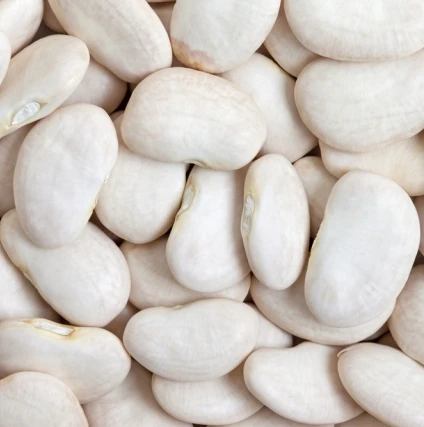 
Quality White Butter Beans for sale 