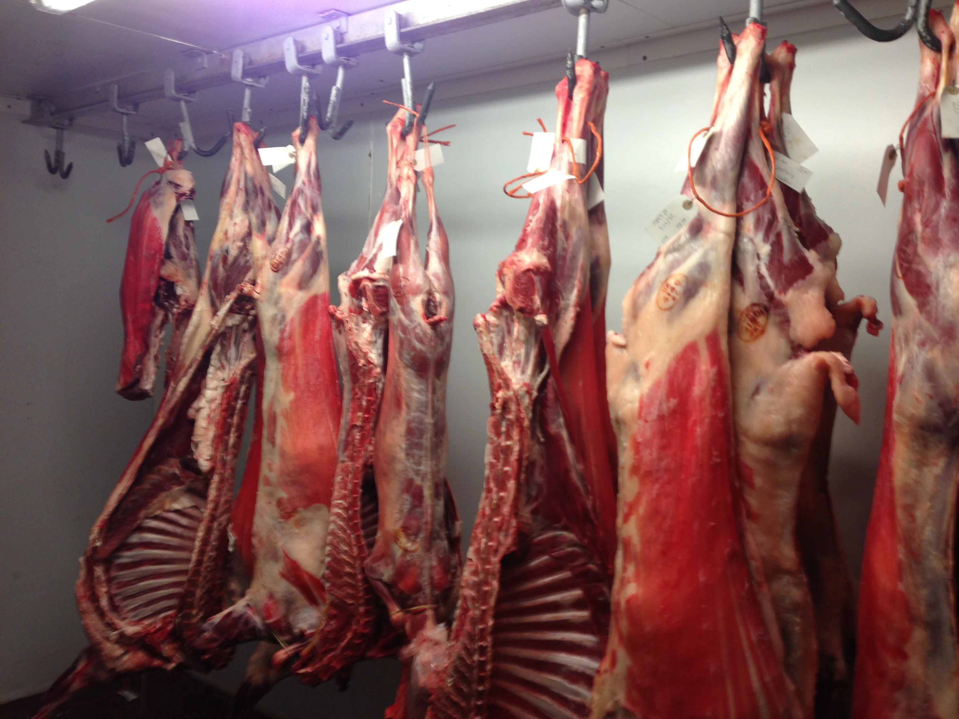 100% халяльное свежее/замороженное овечье/Коза/мясо ягненка/каркас высшего качества для продажи