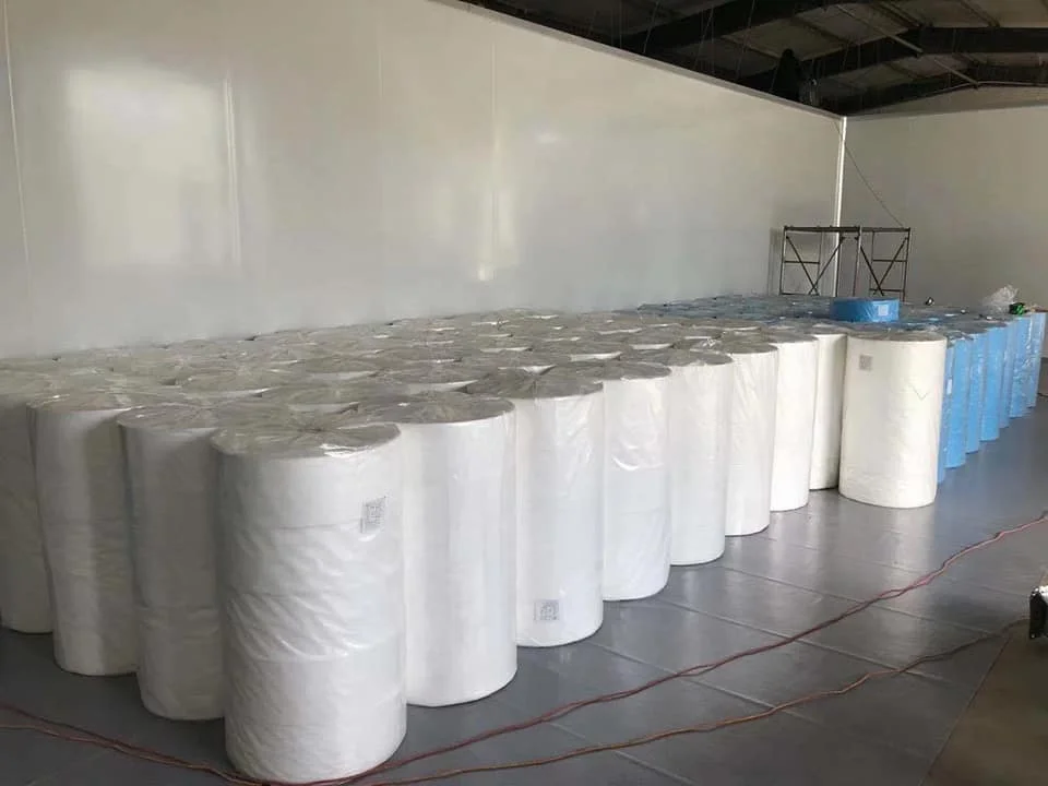 Pp Nonwoven Fabric Multi Pattern Non Woven Roll  Graphic Kids Print Spun bond