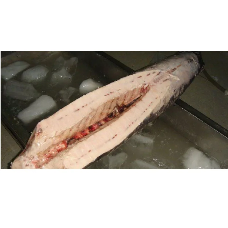 Frozen Fish Fresh Tilapia Supplier Block Bulk Style Packaging Package Weight Lbs Shelf Origin FROZEN SWORDFISH DWT (BELLY OFF)