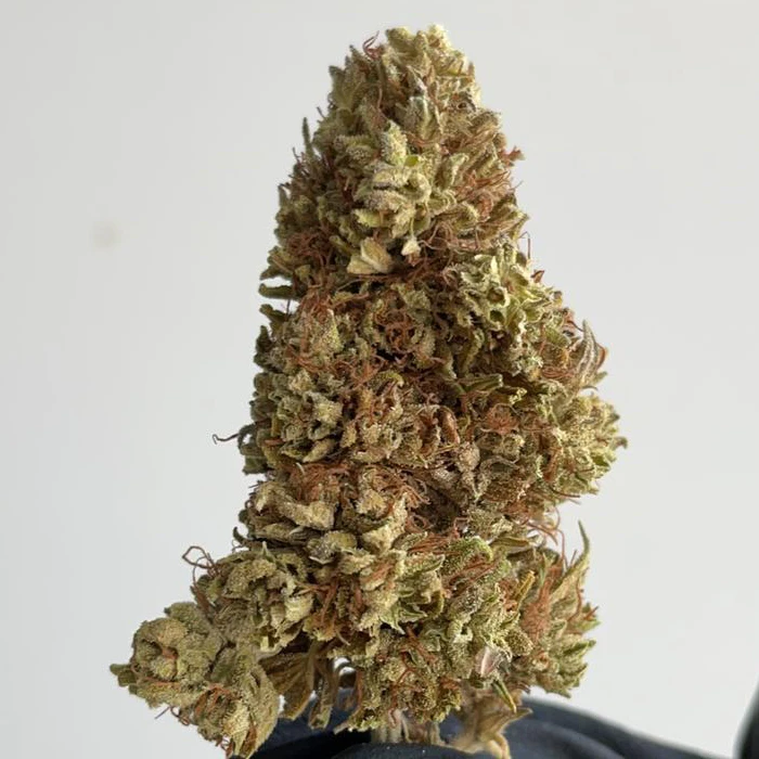 
CBG Flowers 