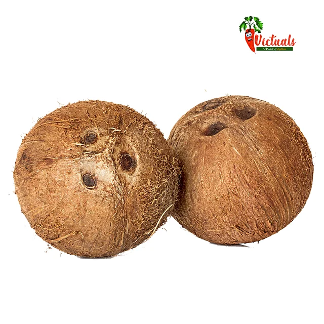 Grow Some Coconuts! - Coconut from India