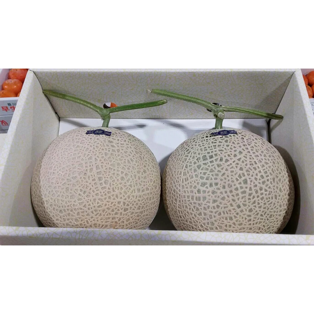 Wholesale fresh characteristics of sweet melon fruit for sale