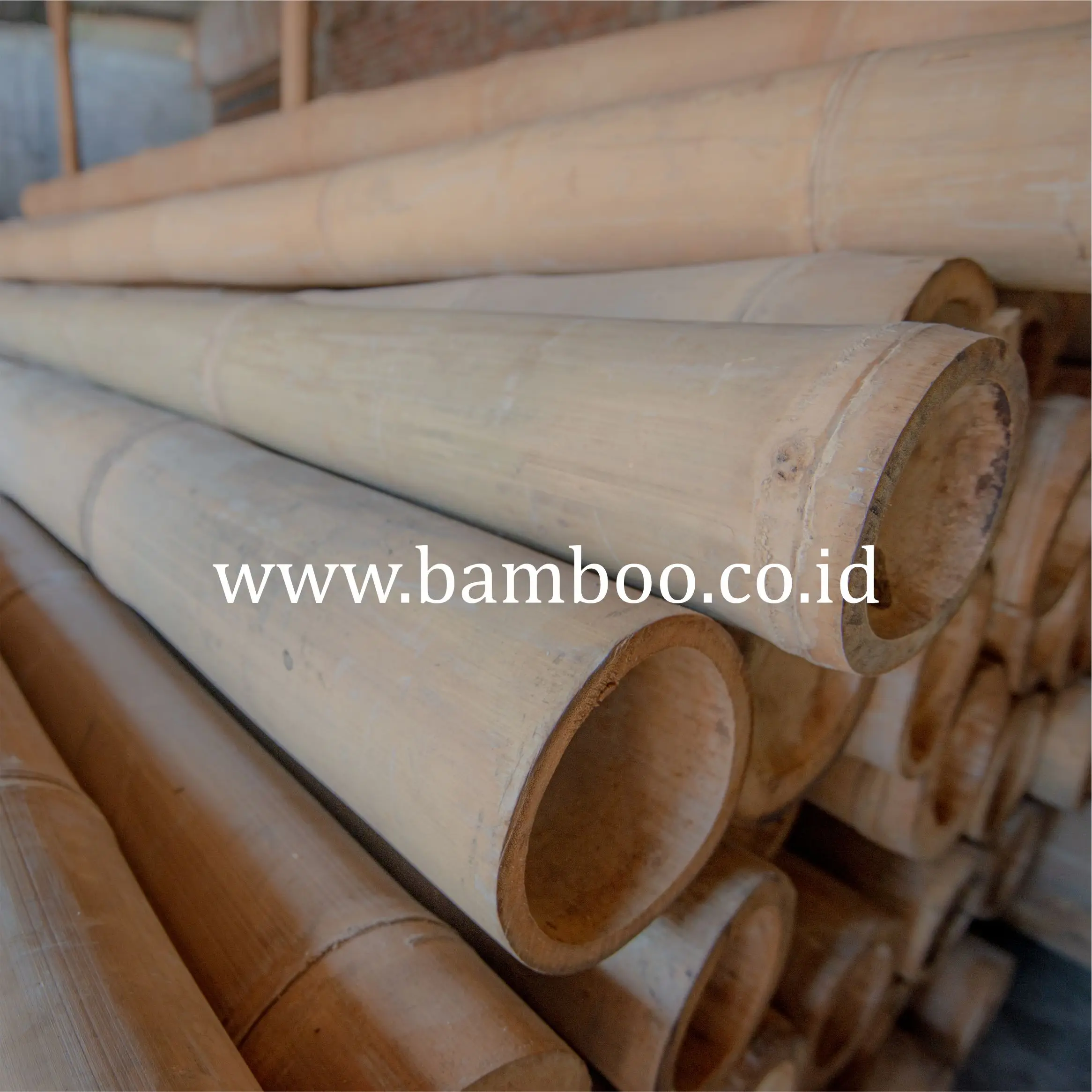 Бамбуковые палки/бамбуковые палки гуадуа ангустифолия является одним из самых сильных по всему миру видов бамбука для строительства